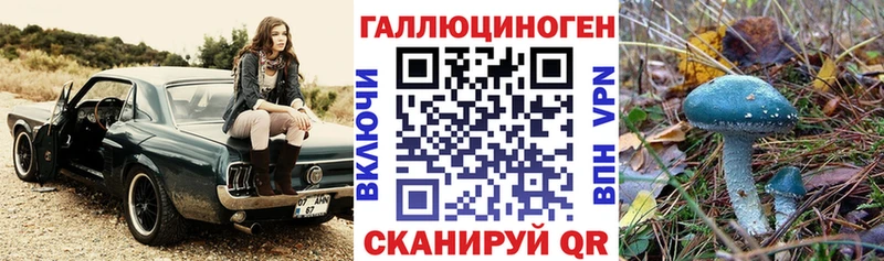 Псилоцибиновые грибы прущие грибы  Купить  Бахчисарай 